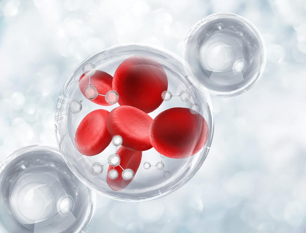 Platelet-Rich Plasma therapy at CellRenew